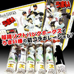 �����\�t�g�o���N�z�[�N�X���܂��_